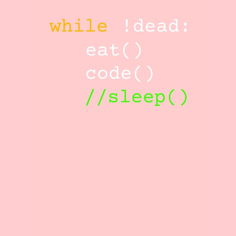 Programmierer Geschenk