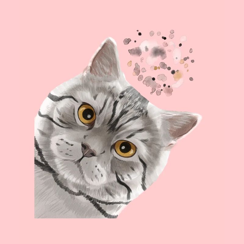 Neugierige Tabby Britisch Kurzhaar Katze