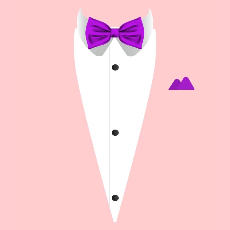 Conception de smoking avec nœud papillon pour les mariages et