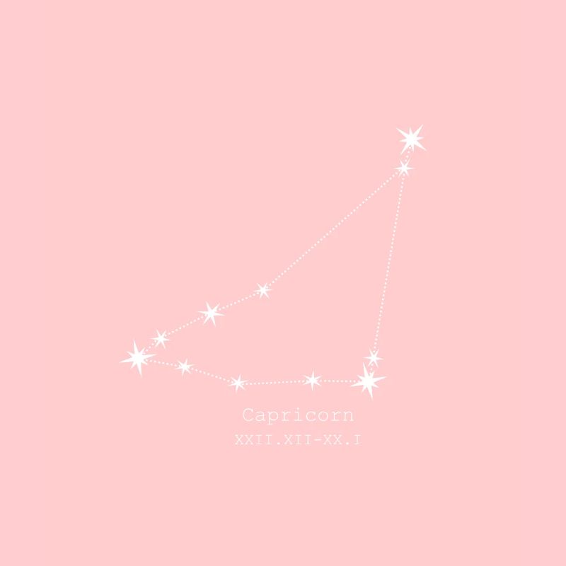 Steinbock/ Capricorn Sternzeichen