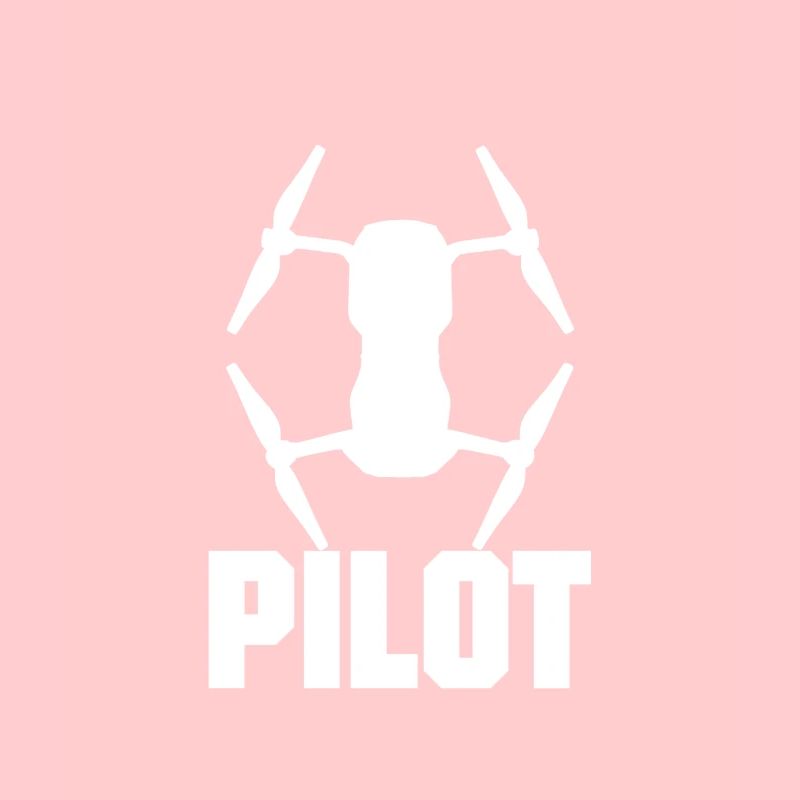 Drone pilot