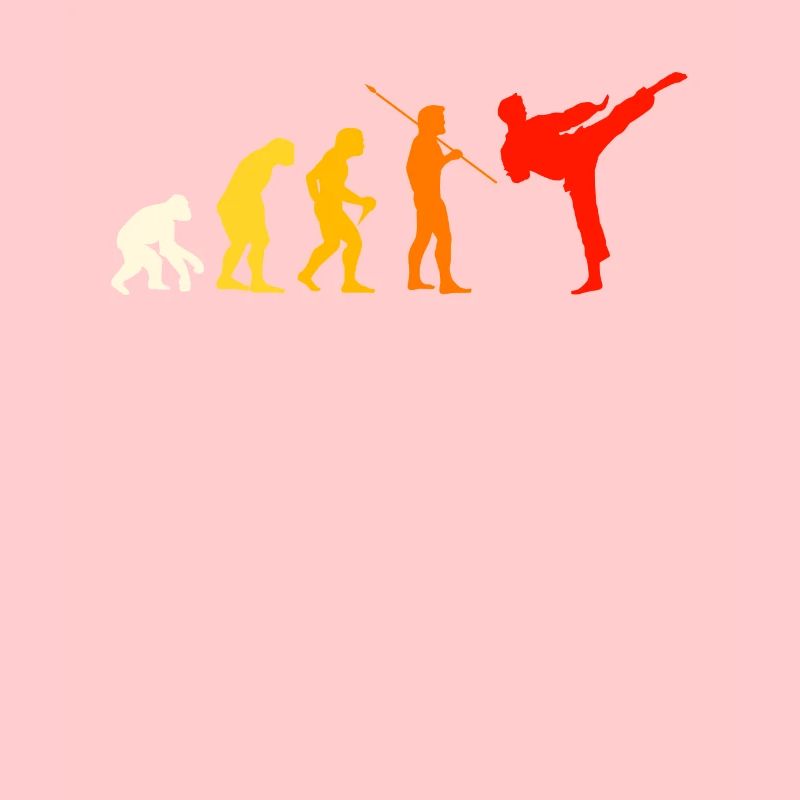 Karaté Evolution T-Shirt Cadeau Judo