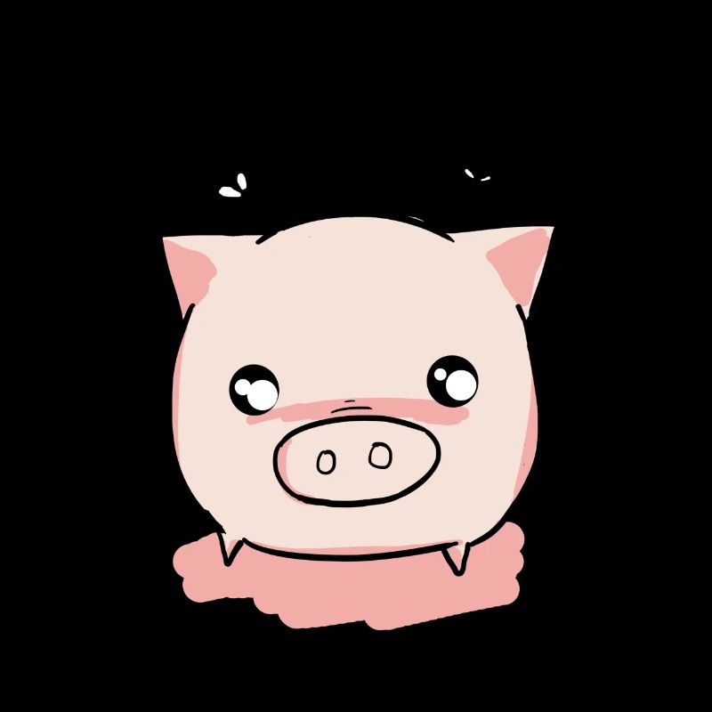 Pig piglets