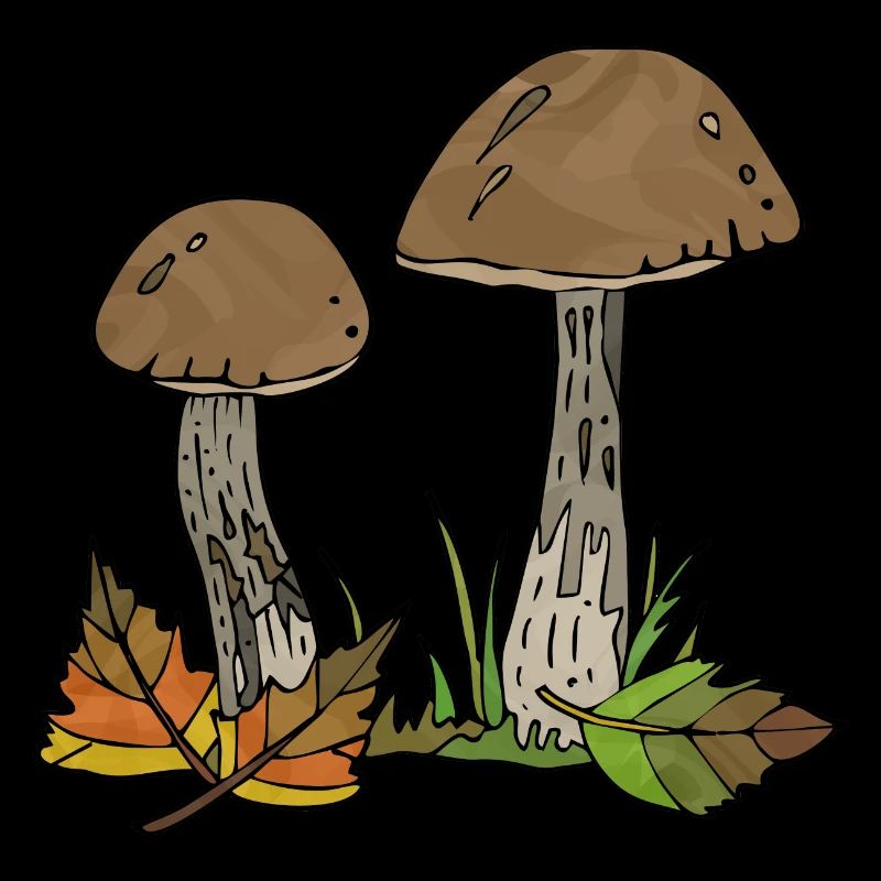 Champignons