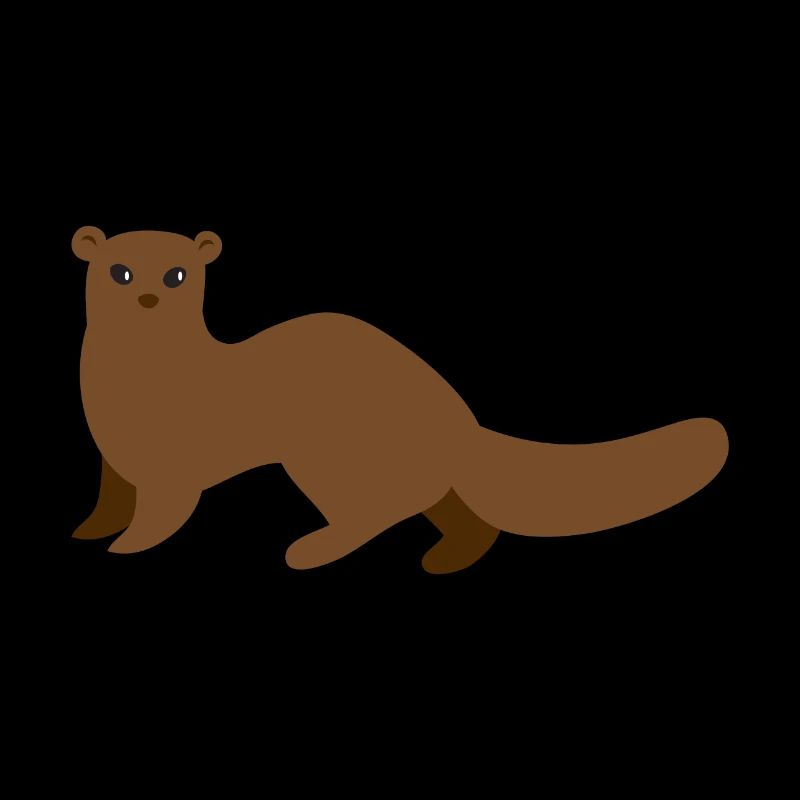 Belette brune ou hermine