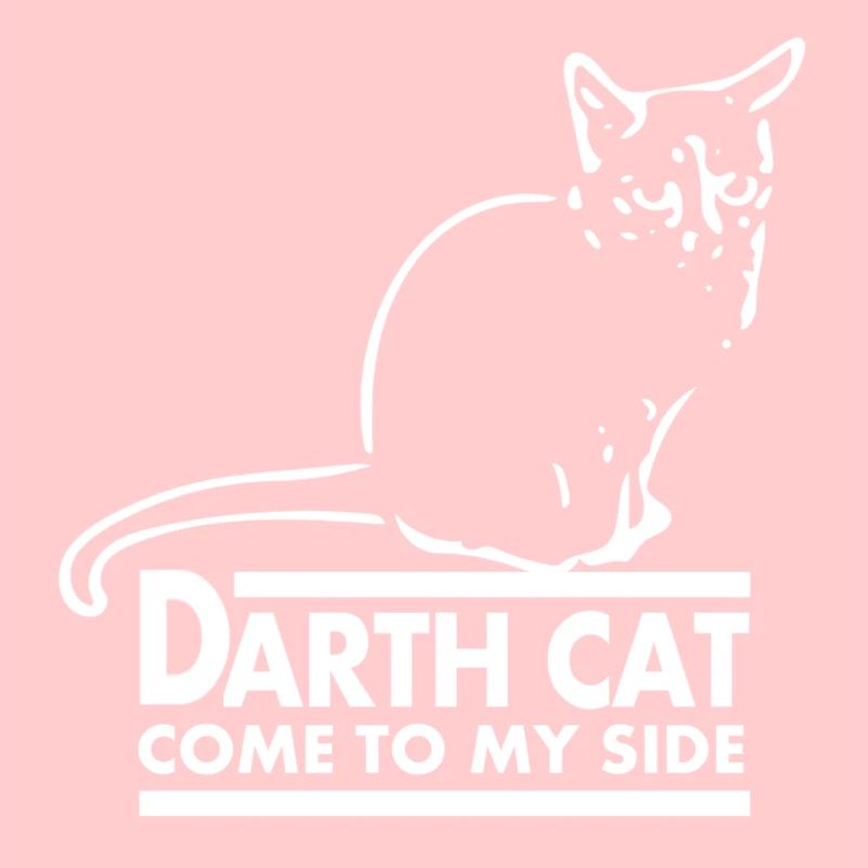 Darth Cat
