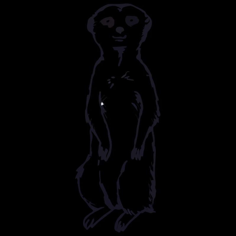 Idée cadeau bébé suricate