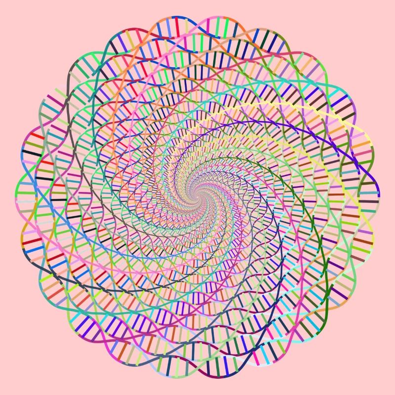 ADN