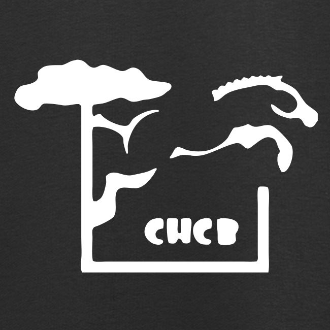 Club Hippique Côte Basque | RectoVerso