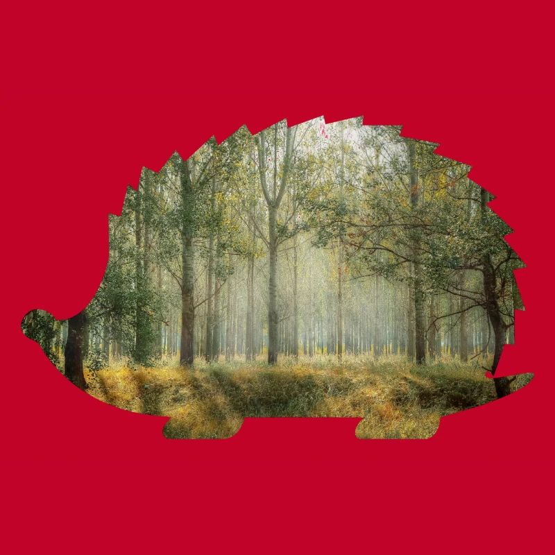 forêt 9 hérisson avec forêt