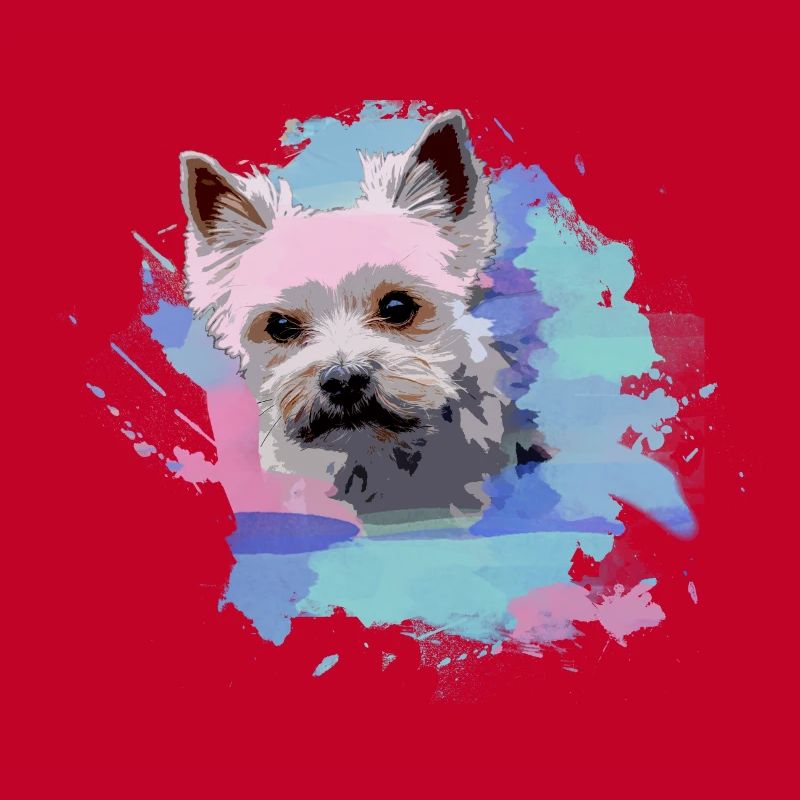 yorkshire terrier, hund, graffiti,terrier, bunt