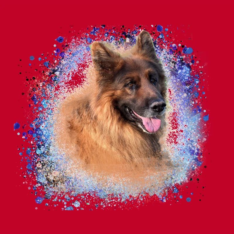 German Shepherd,Shepherd,Dog,Graffiti