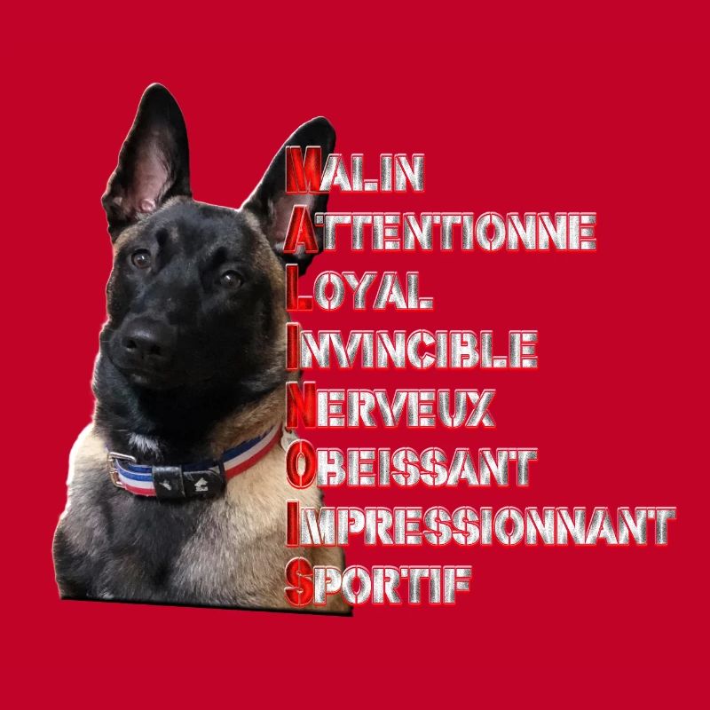 malinois