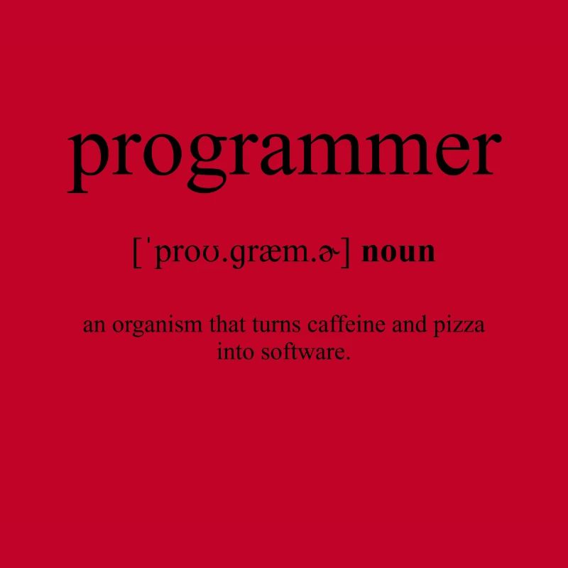 Programmer Definition Dictionary
