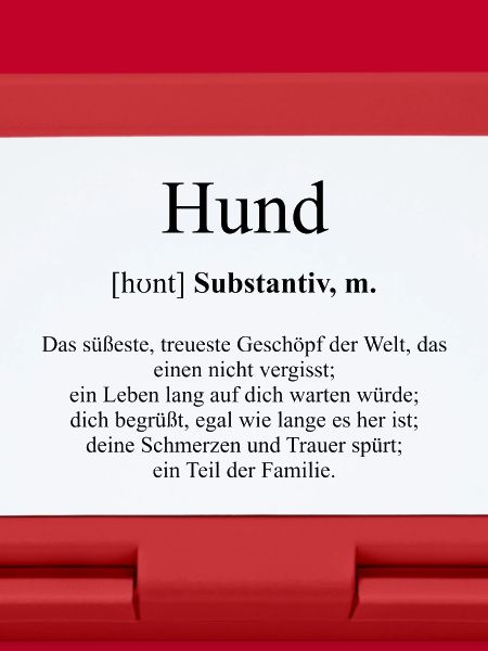 Hund Definition Dictionary