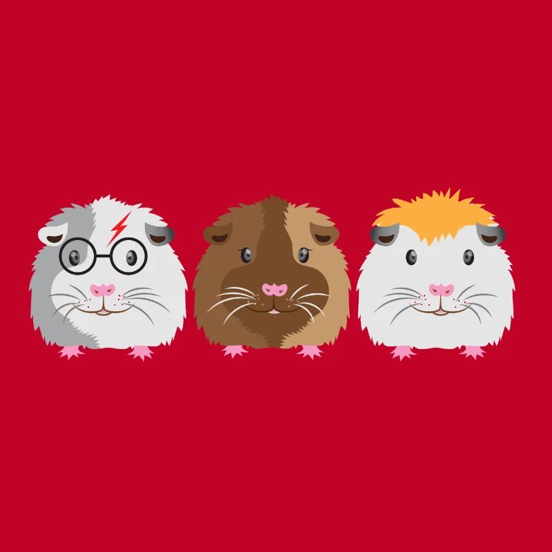 Trois petits cochons d'Inde