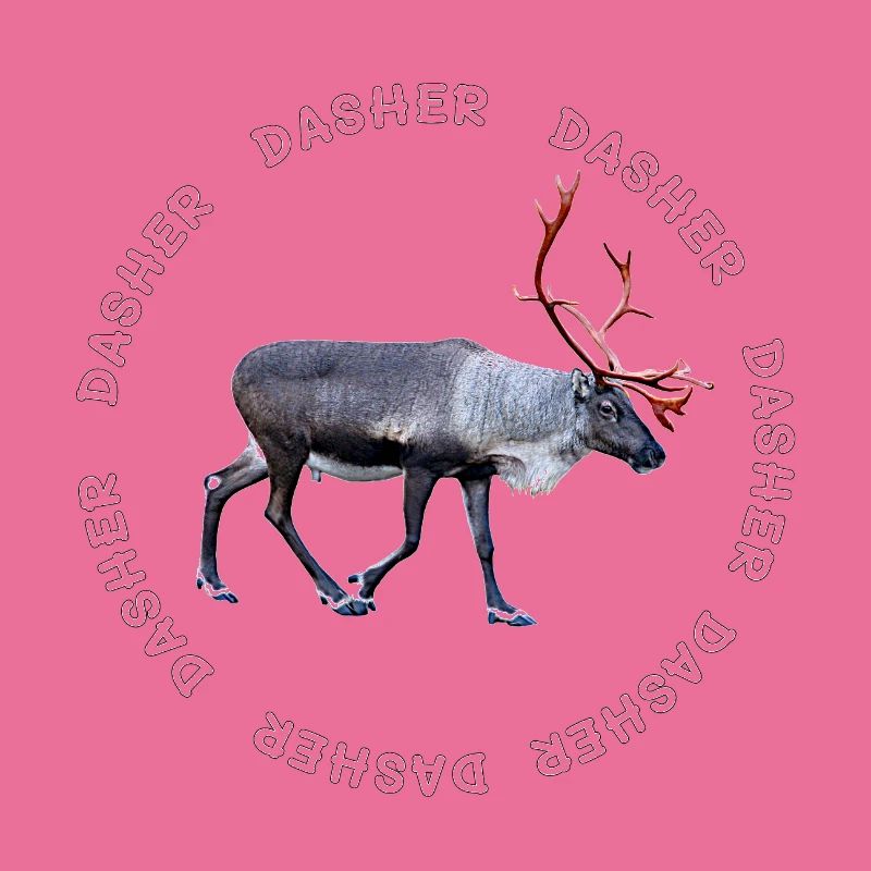 DASHER