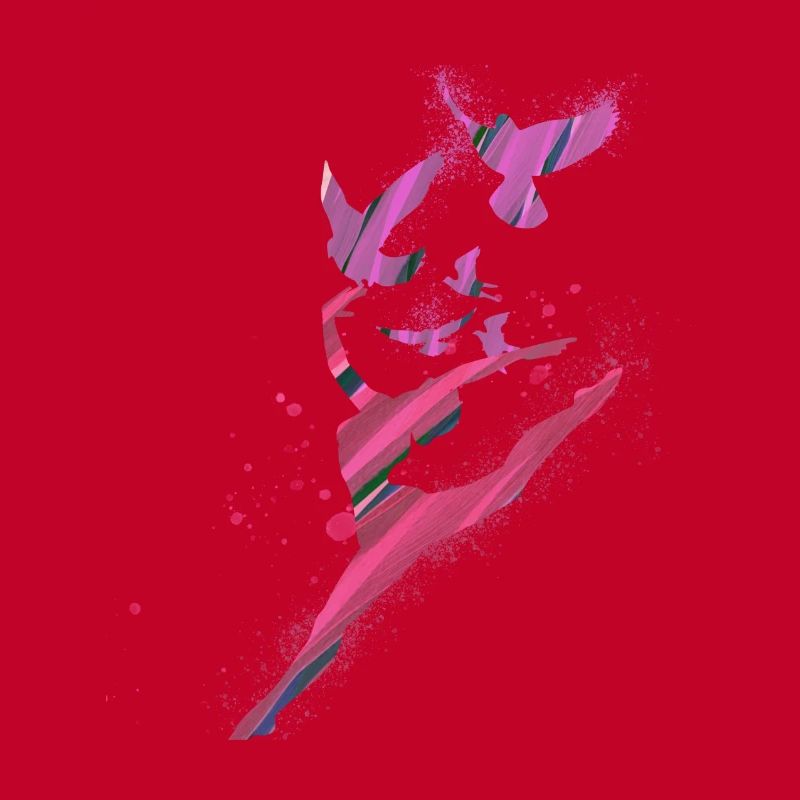 dance,dancer,pink,graffiti,lightness, birds