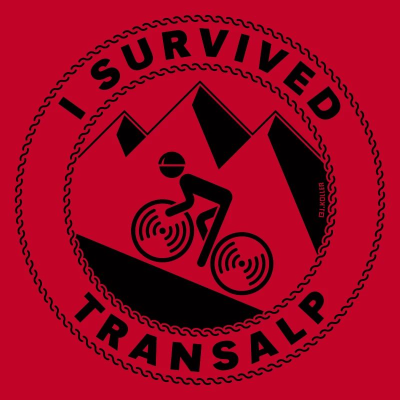 I Survived Transalp (Alpes / Vélo De Course / B)