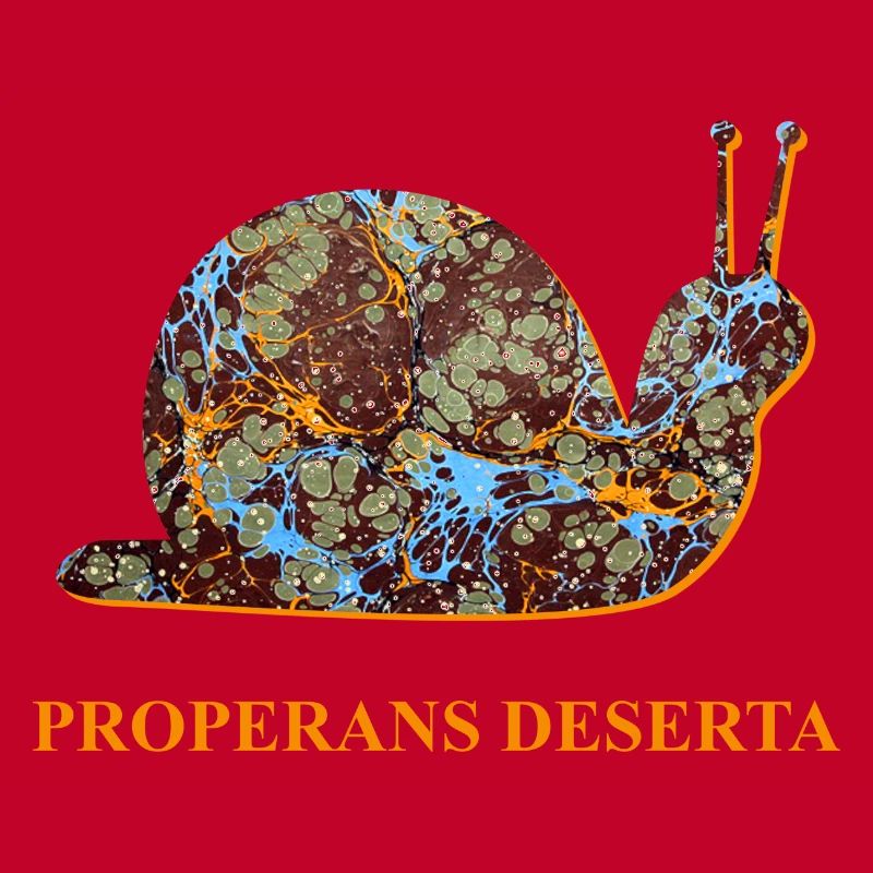 Dépêchez-vous avec le temps Escargot Latin E 85