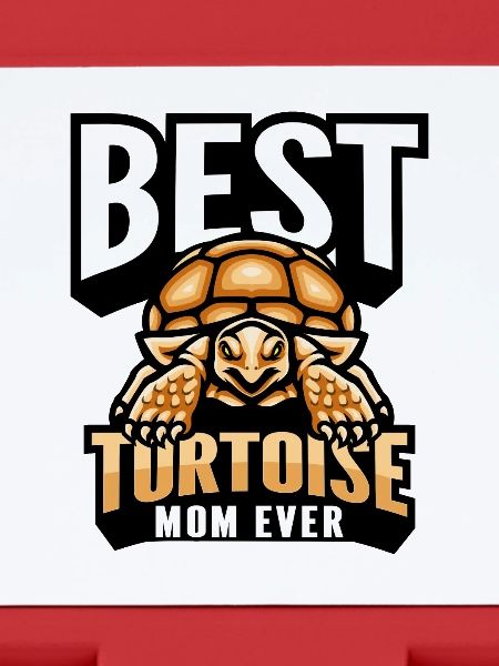 Tortoise