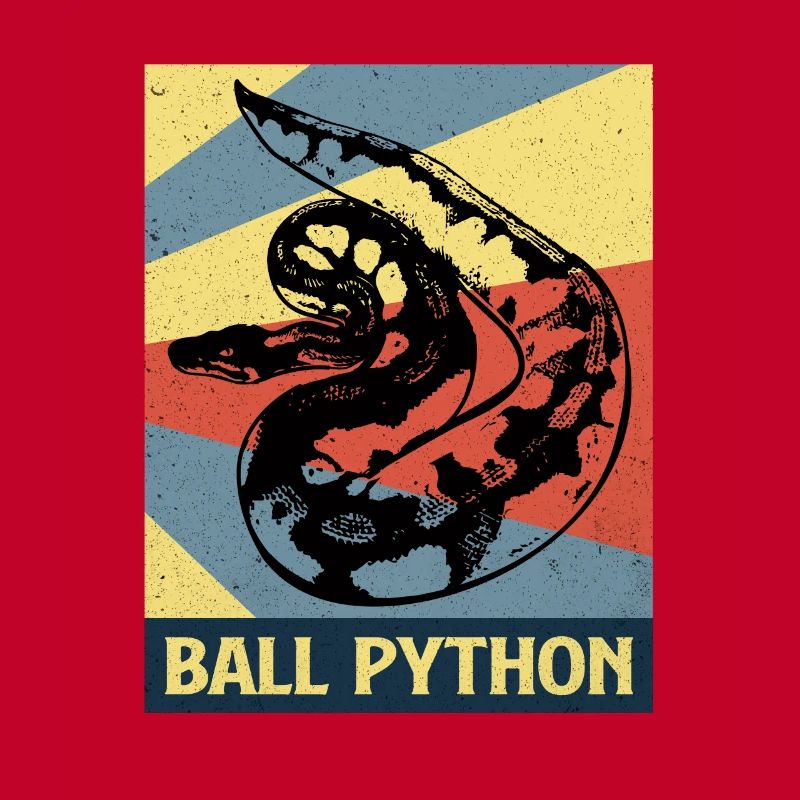 Python