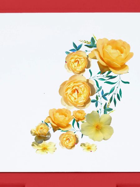 Rosen, Blumen,blume, floral, blume