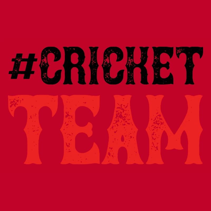 Équipe de cricket