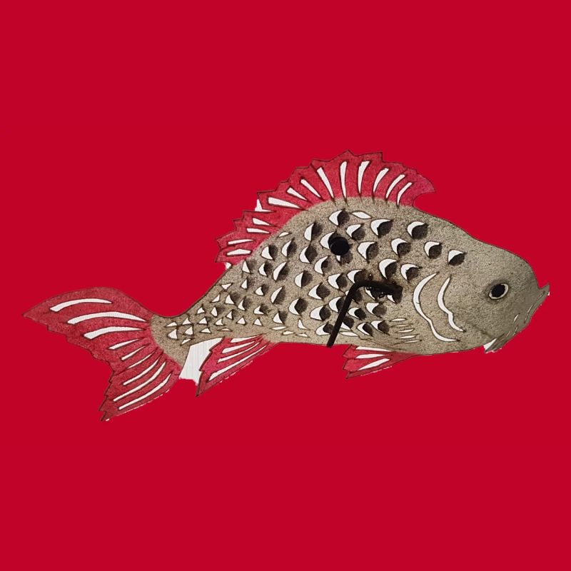 Koi carp,koi, carp, fish