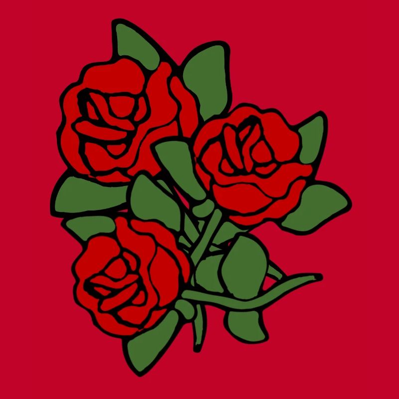Rose - Roses -Roses