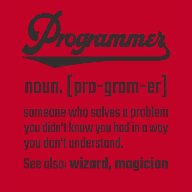 Programmer programmer noun noun definition