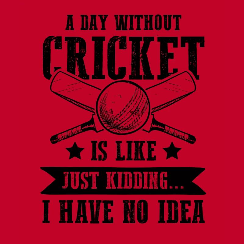 Équipe de cricket