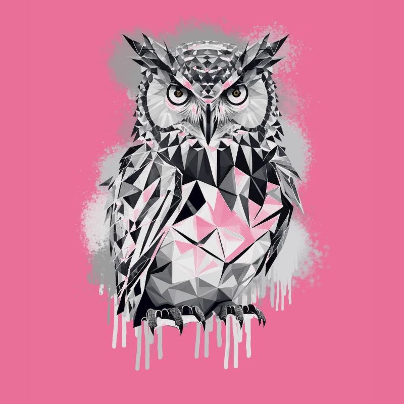 Geometric owl