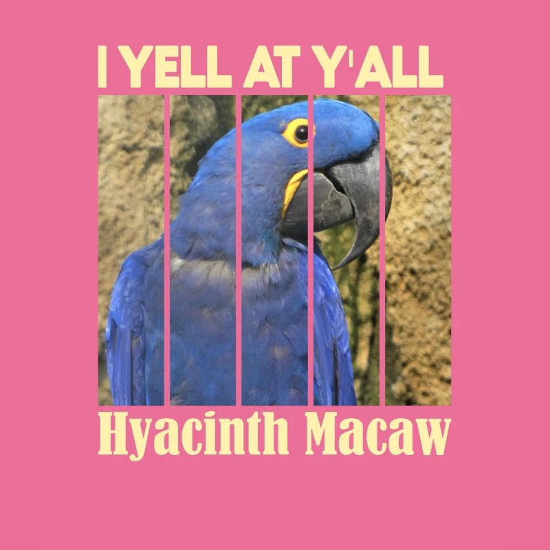 Hyacinthhara