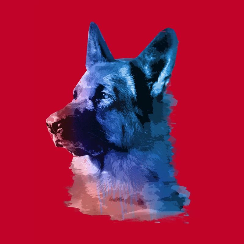 German Shepherd,Shepherd,Dog,Graffiti