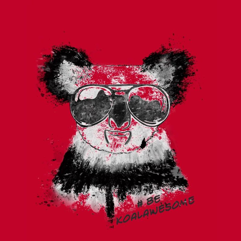 Koala #Cool