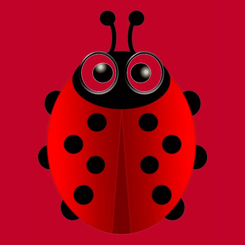 Marienkäfer (ladybug) 01
