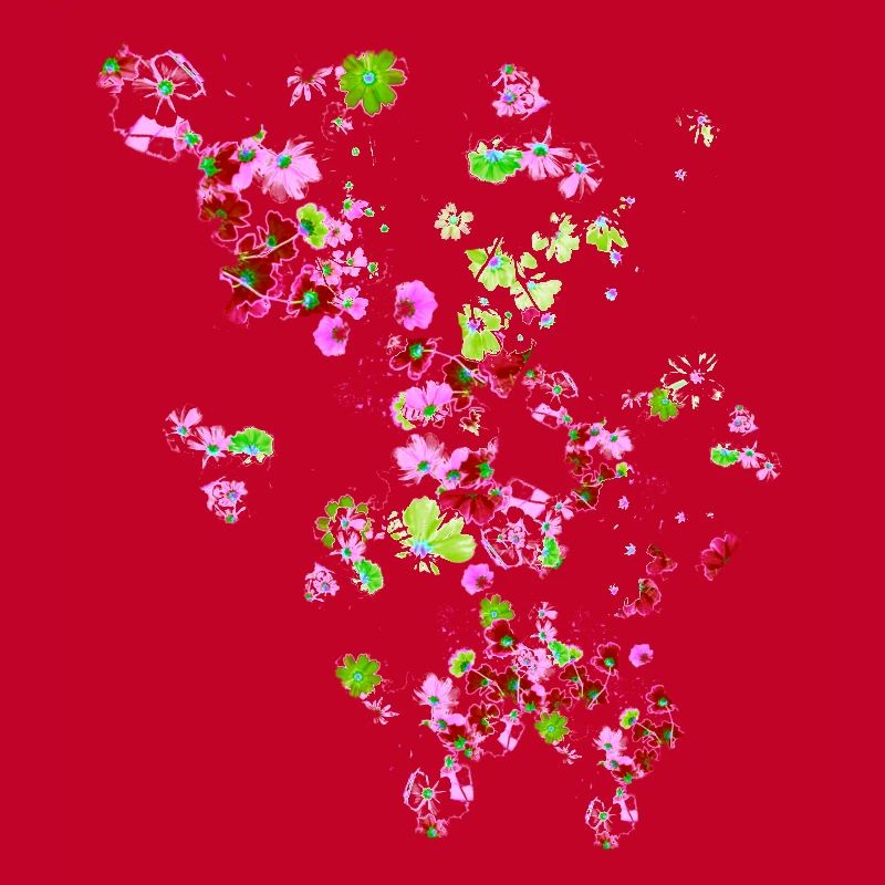 Pré, fleurs, fleurs, fleurs colorées
