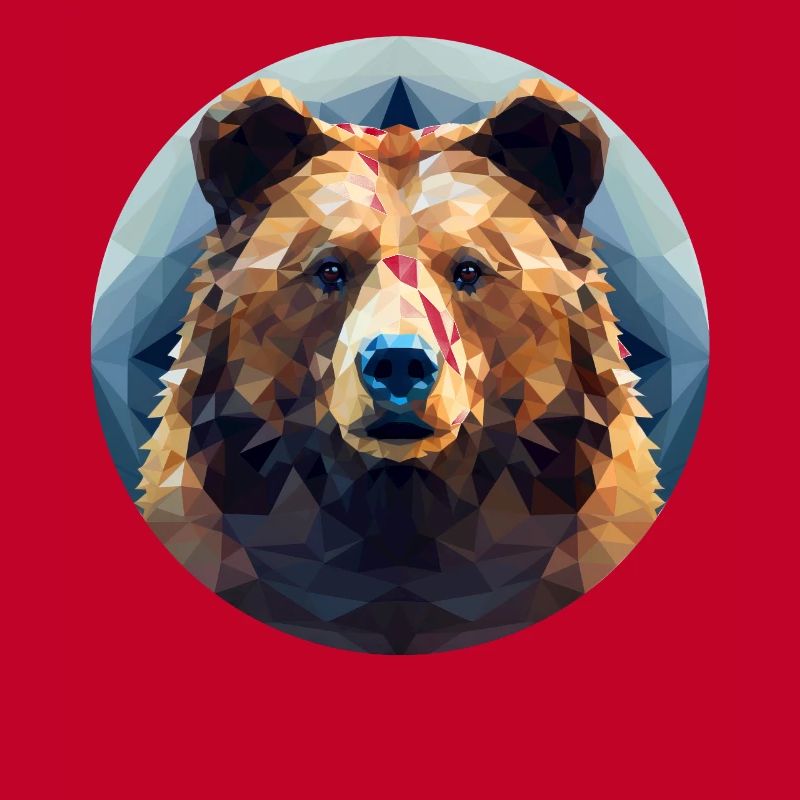 Bear in Polygon Geometry