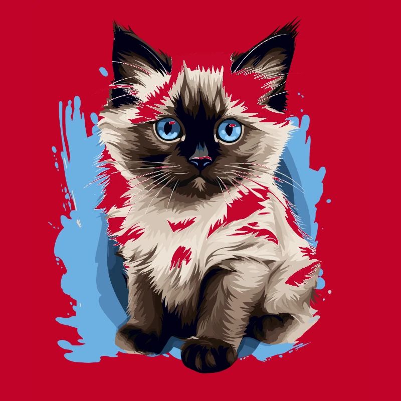 Birman Cat Birma Katze