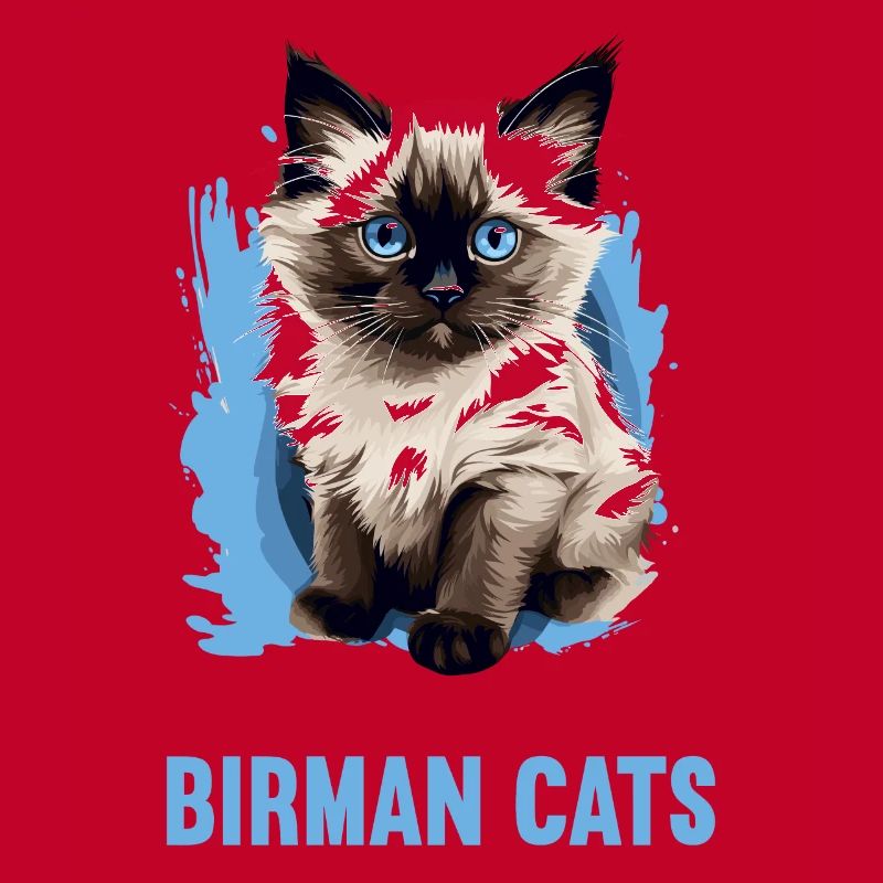 Birman Cat Birma Katze