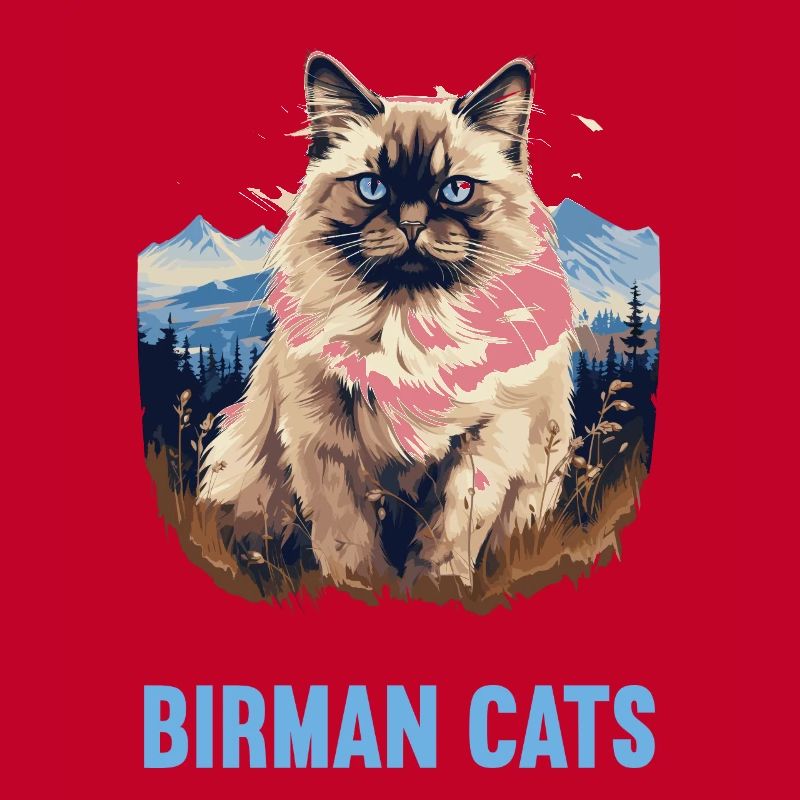 Birman Cat Birma Katze
