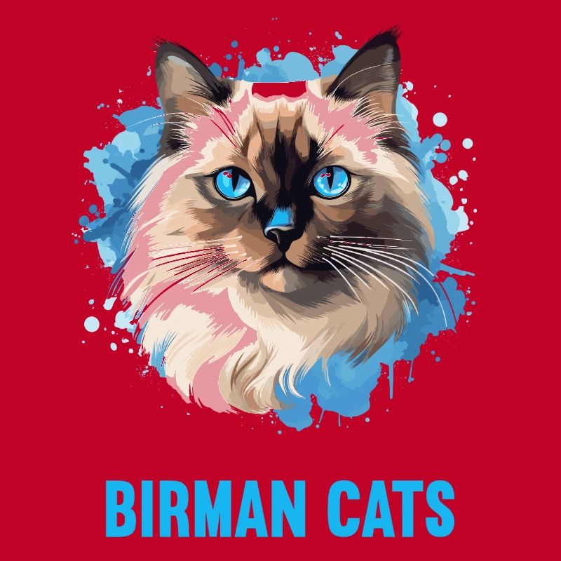 Birman Cat Birma Katze