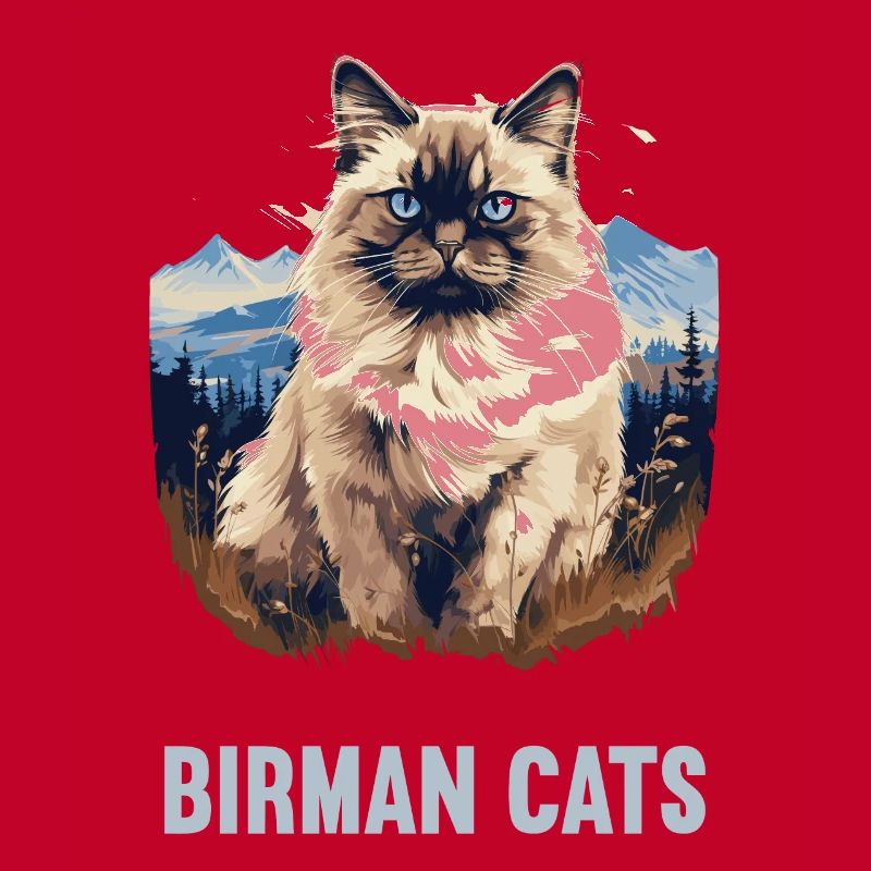 Birman Cat Birma Katze