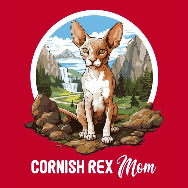 Cornish Rex Kätzchen Cornish Rex Katze