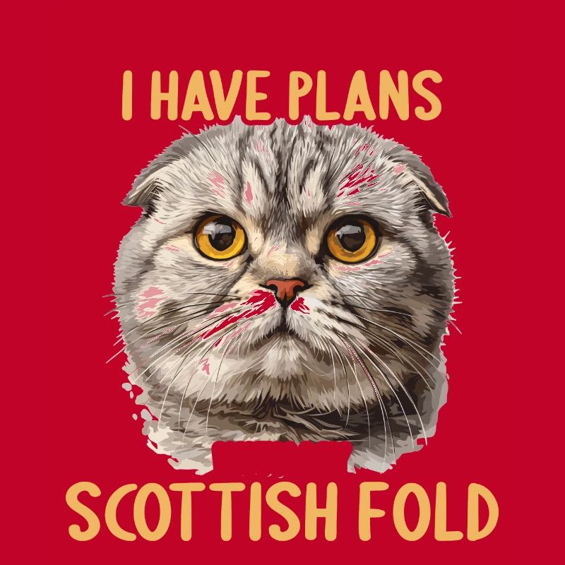 Scottish Fold Kitten Scottish Fold Cat