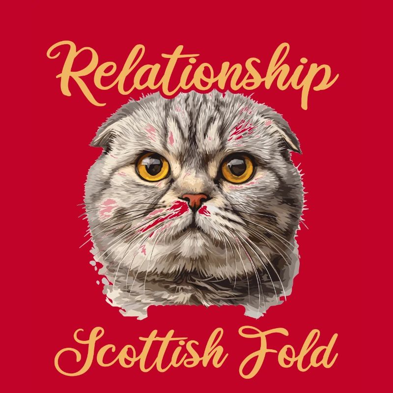 Scottish Fold Kitten Scottish Fold Cat
