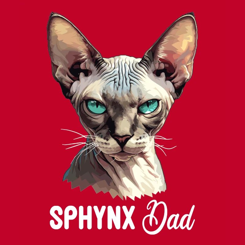 Chaton Sphynx Chat Sphynx