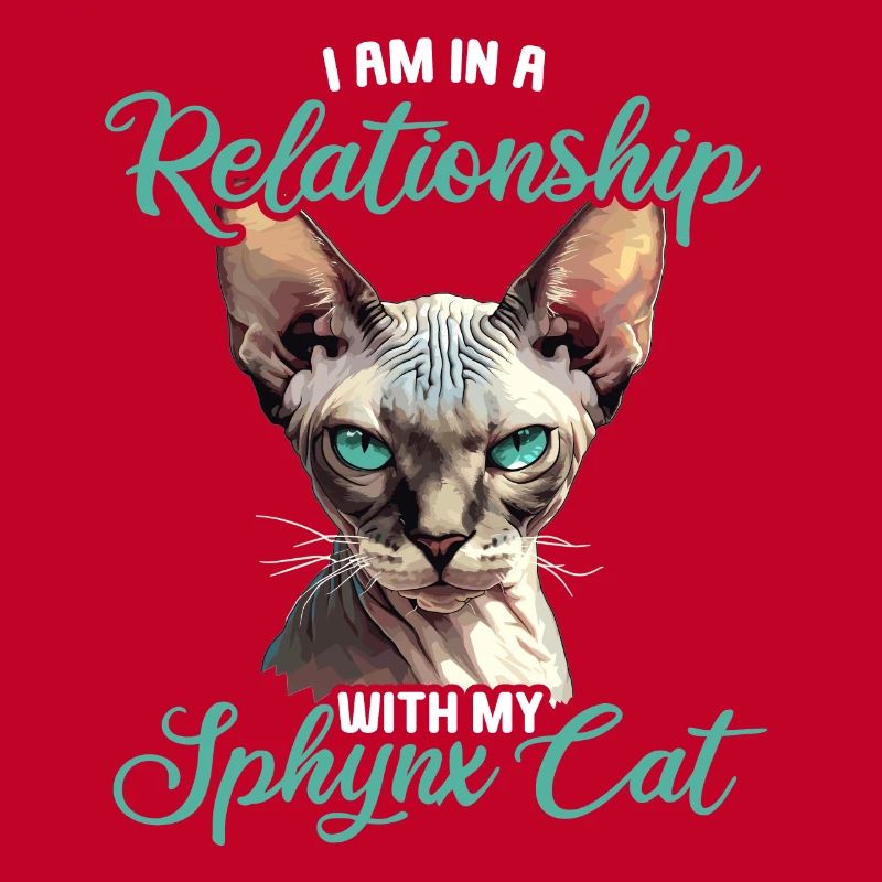 Chaton Sphynx Chat Sphynx