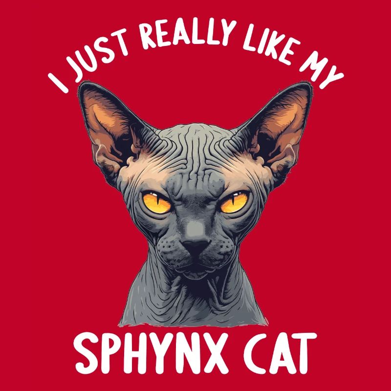 Chaton Sphynx Chat Sphynx